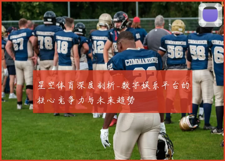 星空体育深度剖析_数字娱乐平台的核心竞争力与未来趋势
