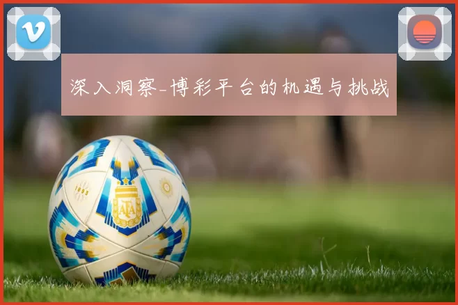 深入洞察_博彩平台的机遇与挑战