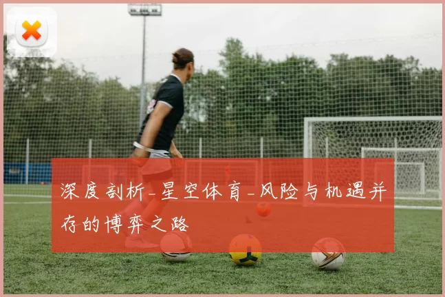 深度剖析_星空体育_风险与机遇并存的博弈之路