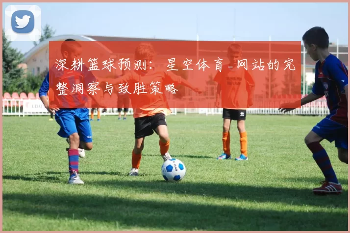 深耕篮球预测：星空体育_网站的完整洞察与致胜策略