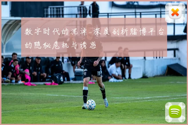 数字时代的泥淖_深度剖析赌博平台的隐秘危机与诱惑