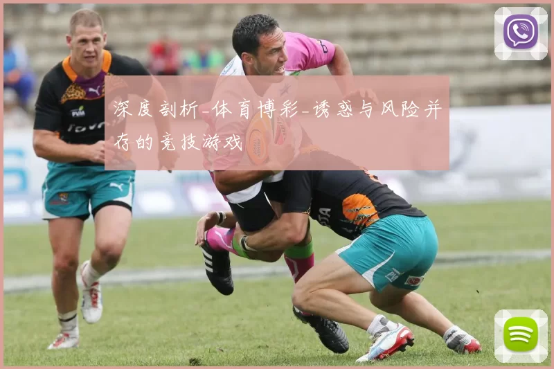 深度剖析_体育博彩_诱惑与风险并存的竞技游戏