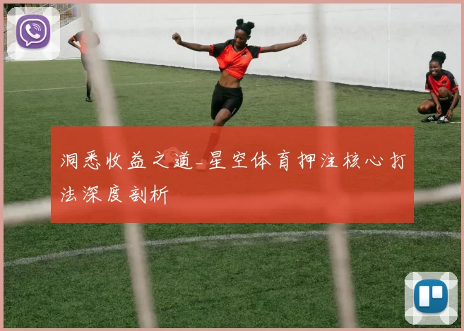 洞悉收益之道_星空体育押注核心打法深度剖析