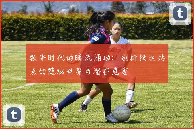 数字时代的暗流涌动：剖析投注站点的隐秘世界与潜在危害