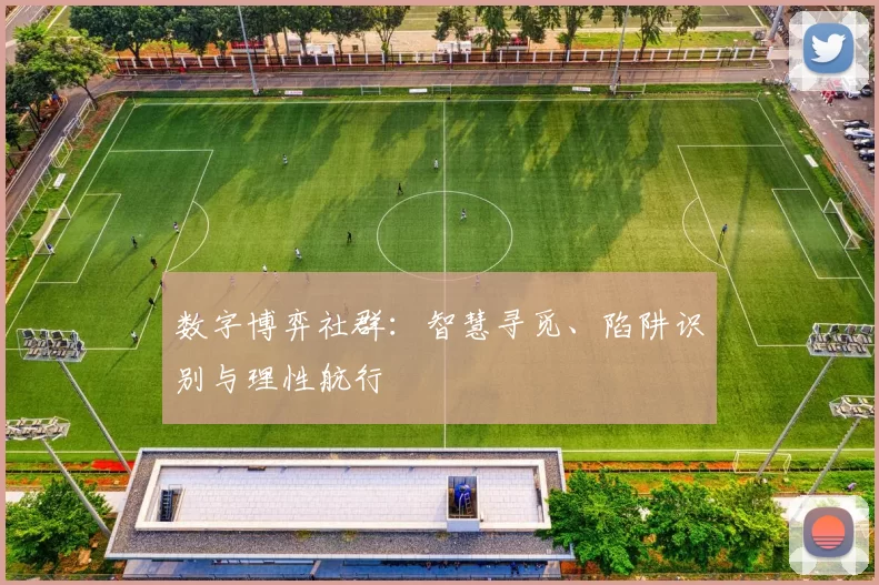 数字博弈社群：智慧寻觅、陷阱识别与理性航行