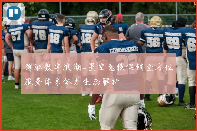 驾驭数字浪潮_星空竞技促销全方位服务体系体系生态解析