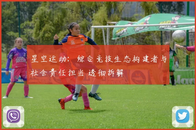 星空运动：综合竞技生态构建者与社会责任担当 透彻拆解