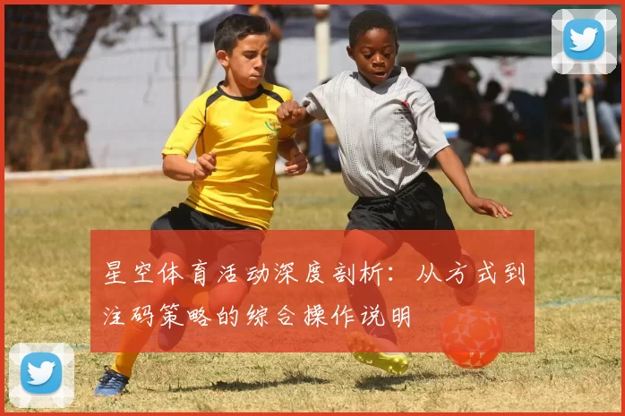 星空体育活动深度剖析：从方式到注码策略的综合操作说明