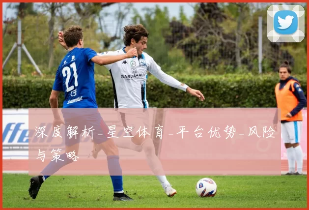 深度解析_星空体育_平台优势_风险与策略