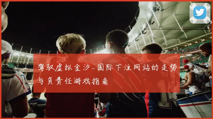 驾驭虚拟金沙_国际下注网站的走势与负责任游戏指南