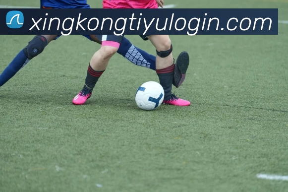 xingkong服务体系